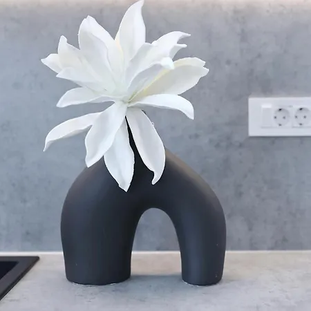 Silver Stars * Zadar