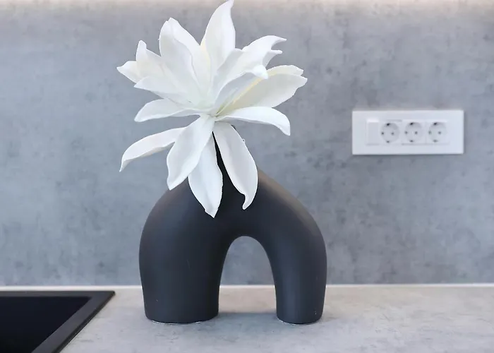 Silver Stars * Zadar